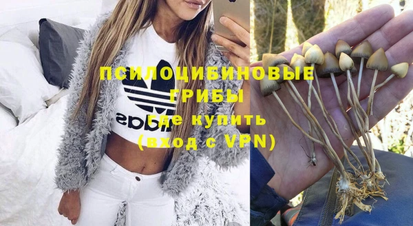 эйфоретик Кинешма