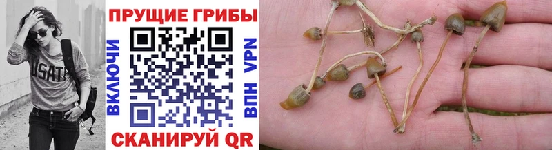 Псилоцибиновые грибы ЛСД  мега   Трёхгорный 