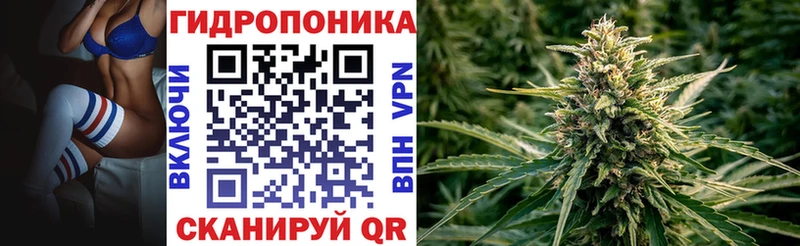 наркота  Трёхгорный  Бошки Шишки ГИДРОПОН 